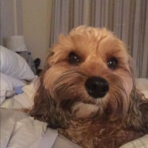 Meet your Posher, Erin